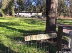 Homes For Sale,Reddick,FL,32686,Florida,Real Estate