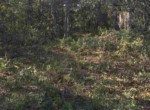 Vacant Land,For Sale,Bronson,FL,32621,Miller,Real Estate
