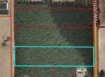 Vacant Land,For Sale,Trenton,FL,32693,Miller,Real Estate