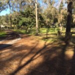 Vacant Land,For Sale,Reddick,FL,32686,Miller,Real Estate