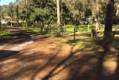 Vacant Land,For Sale,Reddick,FL,32686,Miller,Real Estate