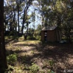 Vacant Land,For Sale,Reddick,FL,32686,Miller,Real Estate