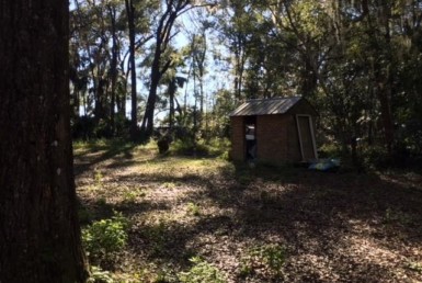 Vacant Land,For Sale,Reddick,FL,32686,Miller,Real Estate