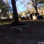 Vacant Land,For Sale,Reddick,FL,32686,Miller,Real Estate