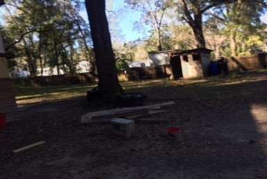 Vacant Land,For Sale,Reddick,FL,32686,Miller,Real Estate