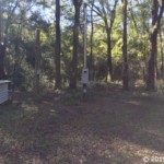 Vacant Land,For Sale,Reddick,FL,32686,Miller,Real Estate
