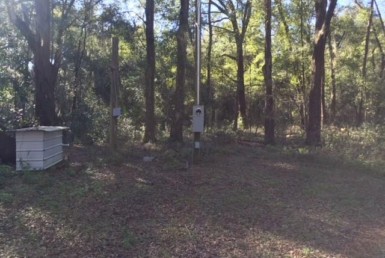 Vacant Land,For Sale,Reddick,FL,32686,Miller,Real Estate