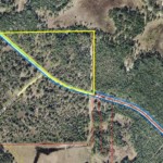 Vacant Land,For Sale,Newberry,FL,32669,Miller,Real Estate