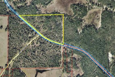 Vacant Land,For Sale,Newberry,FL,32669,Miller,Real Estate