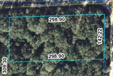 Vacant Land,For Sale,Bronson,FL,32621,Miller,Real Estate