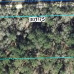 Vacant Land,For Sale,Bronson,FL,32621,Miller,Real Estate