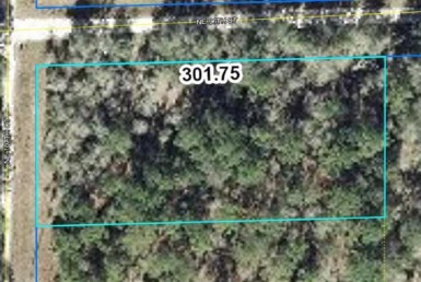 Vacant Land,For Sale,Bronson,FL,32621,Miller,Real Estate