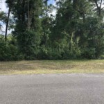 Vacant Land,For Sale,Fanning Springs,FL,32693,Miller,Real Estate