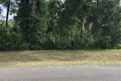 Vacant Land,For Sale,Fanning Springs,FL,32693,Miller,Real Estate