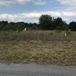 Vacant Land,For Sale,Trenton,FL,32693,Miller,Real Estate