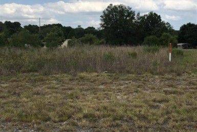 Vacant Land,For Sale,Trenton,FL,32693,Miller,Real Estate
