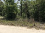 Vacant Land,For Sale,Williston,FL,32696,Miller,Real Estate