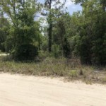 Vacant Land,For Sale,Williston,FL,32696,Miller,Real Estate