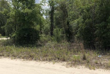 Vacant Land,For Sale,Williston,FL,32696,Miller,Real Estate