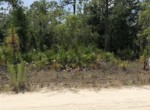 Vacant Land,For Sale,Williston,FL,32696,Miller,Real Estate
