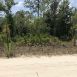 Vacant Land,For Sale,Williston,FL,32696,Miller,Real Estate