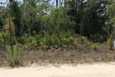 Vacant Land,For Sale,Williston,FL,32696,Miller,Real Estate